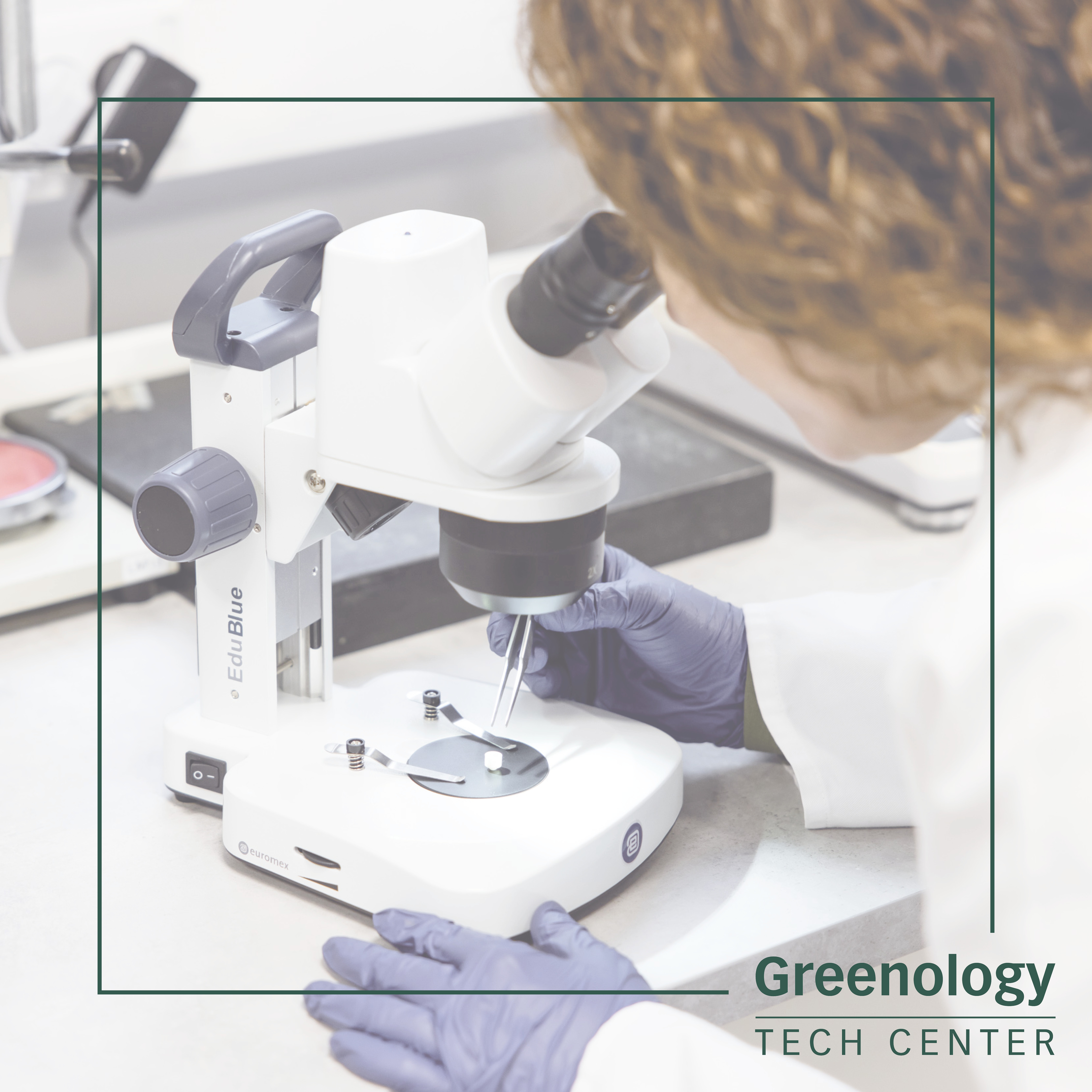 Mikroskop Ljus Toning